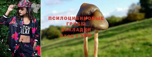 марки nbome Вяземский
