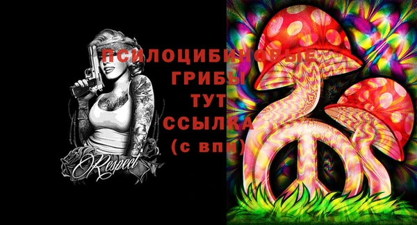 марки nbome Вяземский