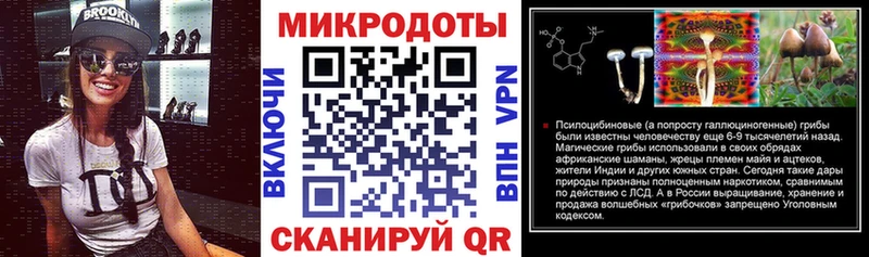Галлюциногенные грибы Magic Shrooms  Купить где  Камышлов 