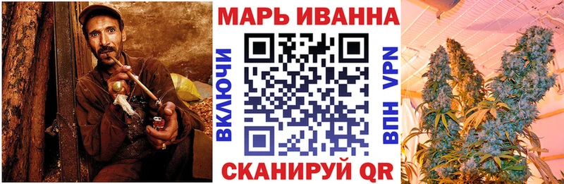 Купить закладки  Камышлов  МАРИХУАНА сатива 